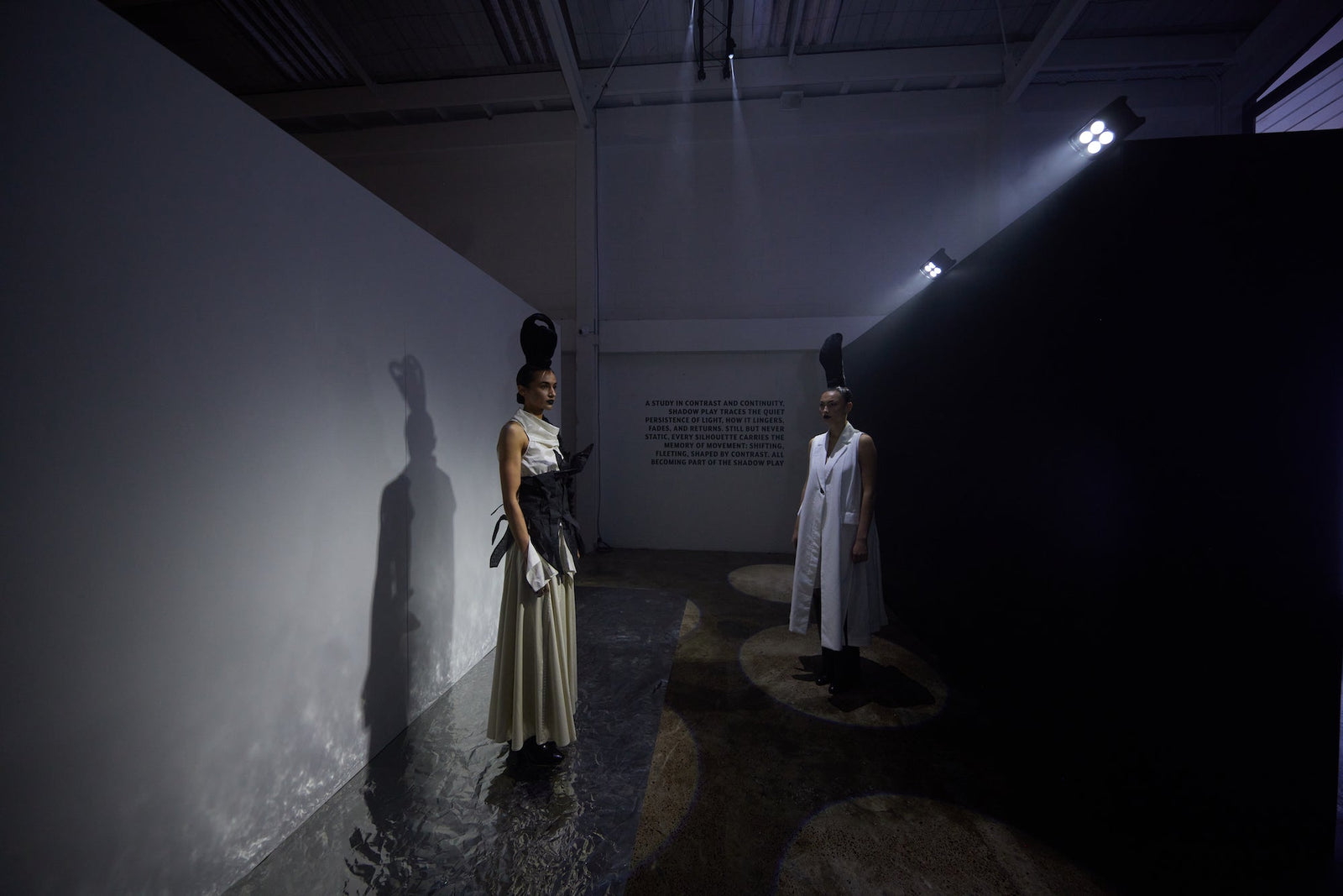 taylor’s Shadowplay