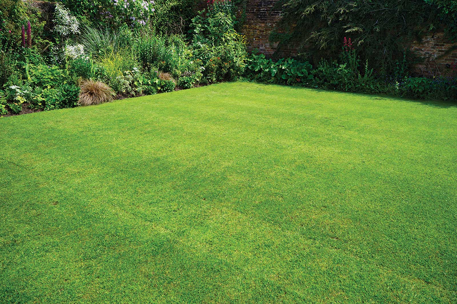 p111 Gardening