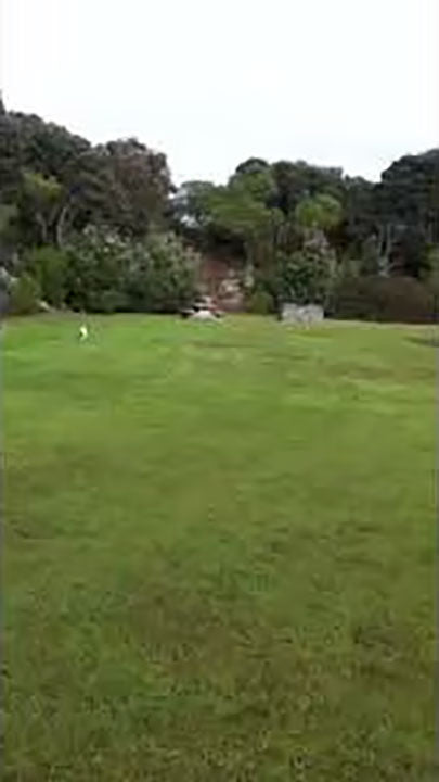 Jack enjoys exercise at Western Springs