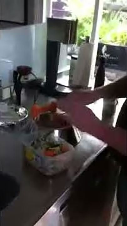 Jack, the scottie waiting for dinner time.