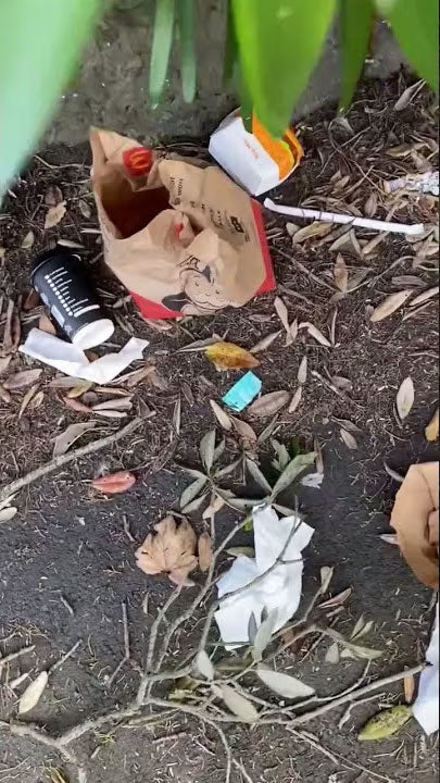 Rubbish and flytipping in Grey Lynn, Auckland - Keppell Street
