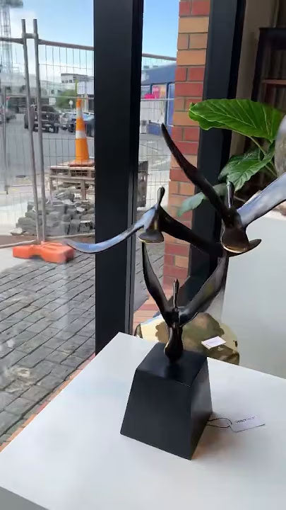 Off to the Object Room in Pollen Street in Ponsonby...