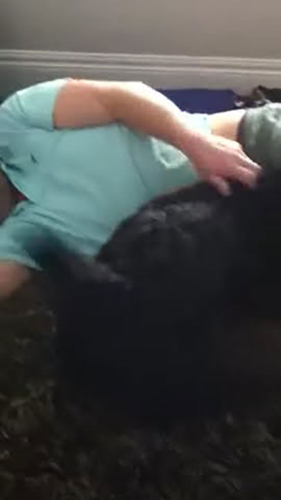 Jack, the scottie always loved a cuddle, as you can see!