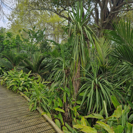 EXPLORE THE FLEXIBLE VENUE SPACES AT FREEMANS BAY COMMUNITY CENTRE