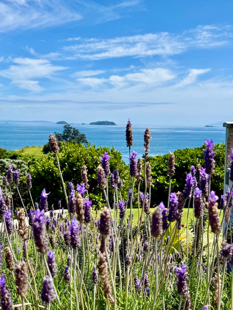 10 GARDENS. TWO WHEELS. ONE GREAT CAUSE!
