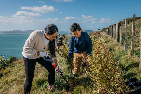 Status of Auckland’s regional parks strengthened