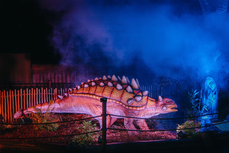 Zoo’s Dinosaur Nights & Lights returns