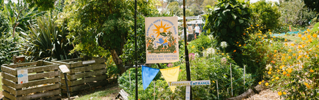 News from Kelmarna Community Farm