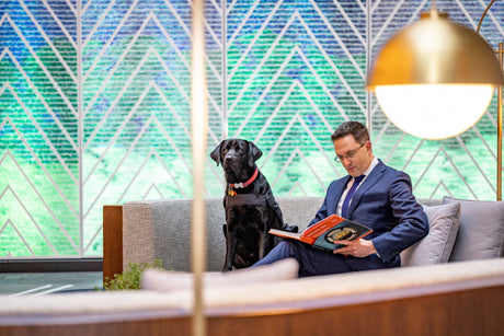 PARK HYATT AUCKLAND CELEBRATES 5 YEARS OF EXCEPTIONAL LUXURY AND LOCAL CONNECTION