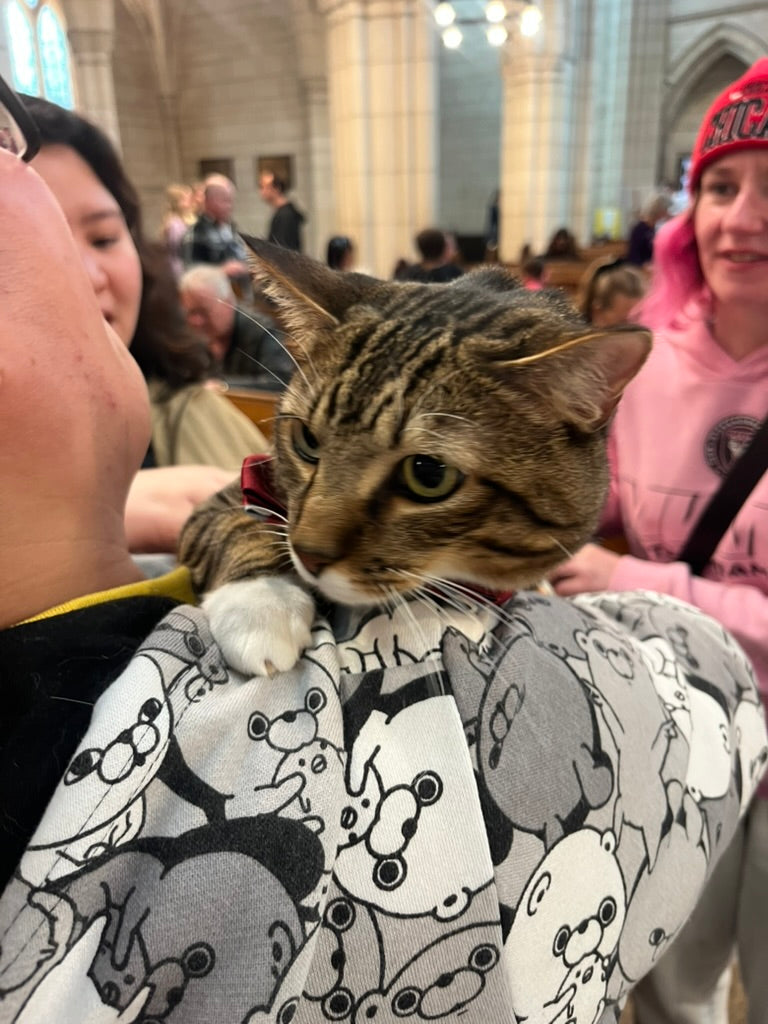 BLESSING OF THE ANIMALS AT ST MATTHEW IN-THE-CITY