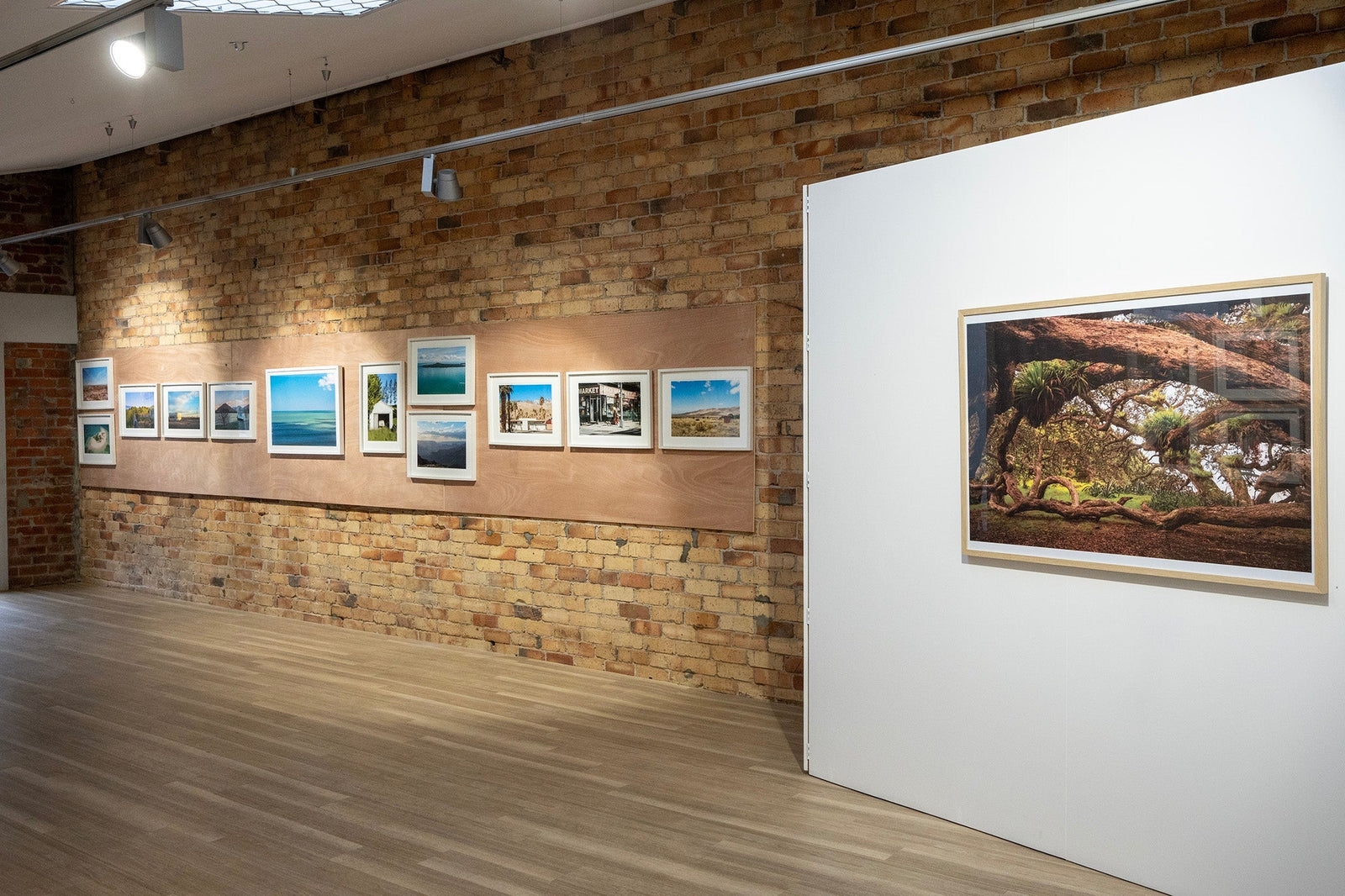Favourite Places showing at the Charlotte Museum