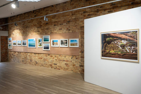 Favourite Places showing at the Charlotte Museum