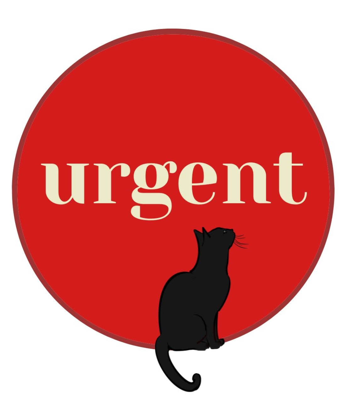 Charity calls on MPI and DOC to stop companion cats being killed under “feral cat” guidance