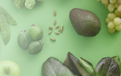 Aotearoa Food Rescue Alliance welcomes Food Waste Amendment Bill to strengthen food rescue and reduce food waste