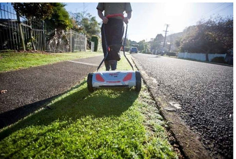 LETTER TO THE EDITOR