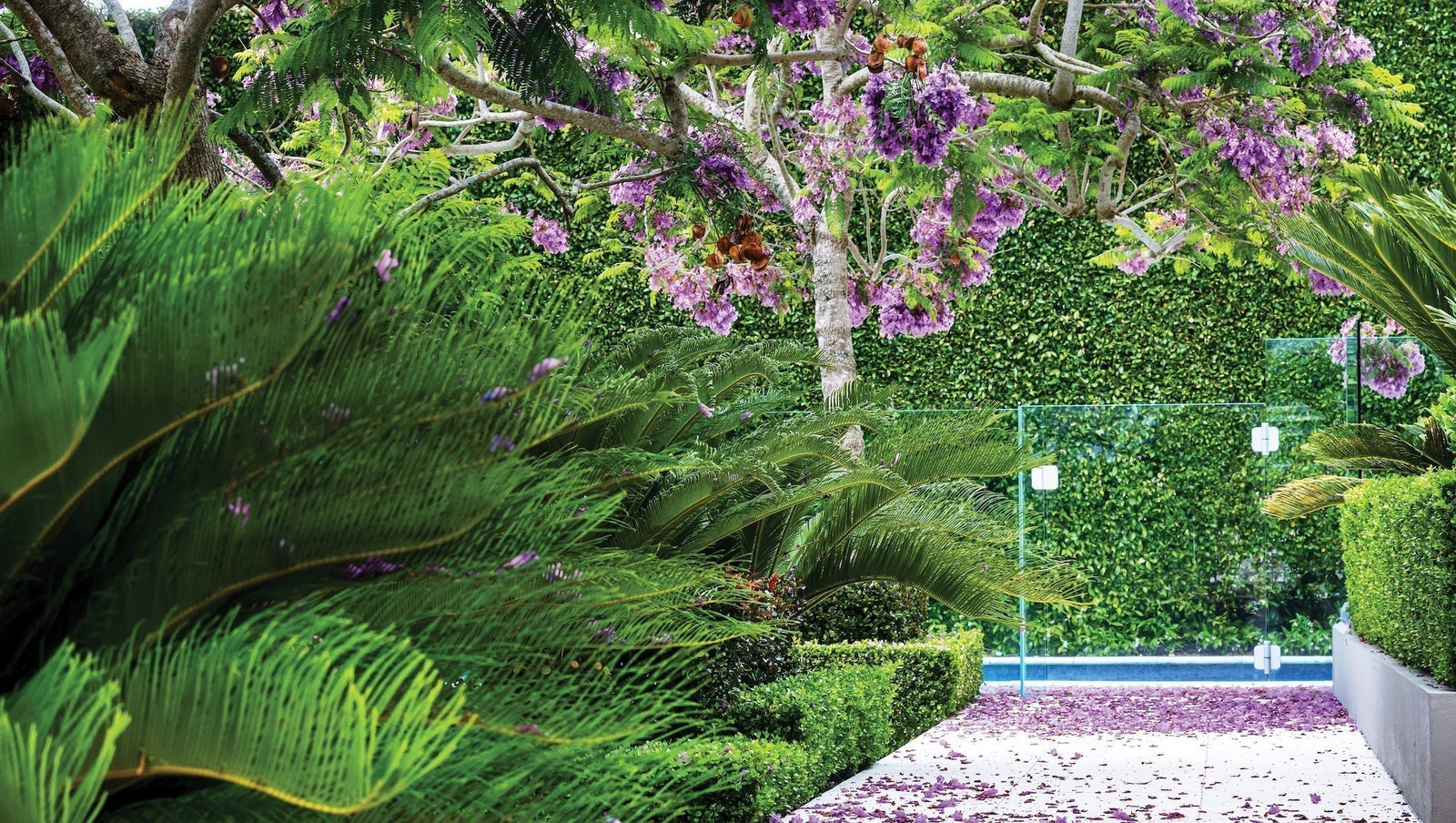 Dove Hospice & Wellness Garden Ramble