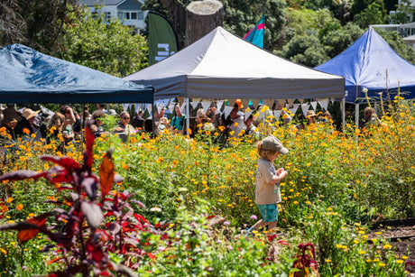 Kids, Kai, Conversation and Music at Kelmarna Farm