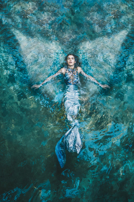 LIGHT X 4 - a photography show at Little Rosies from 5-26 June