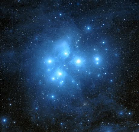 Auckland’s leading cultural organisations unite for a region-wide Matariki celebration
