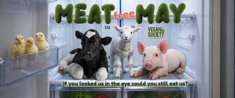 Meat Free May: A Simple Idea With Big Benefits