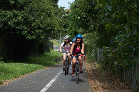 Northwestern Cycleway11