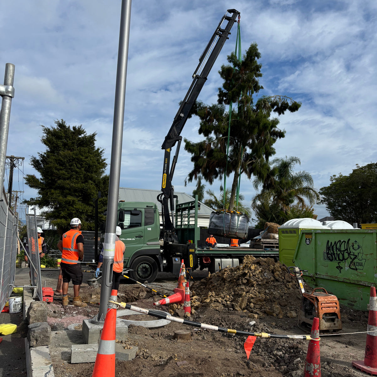 Te Rimutahi - July 2026 update. Rimu tree. – Ponsonby News