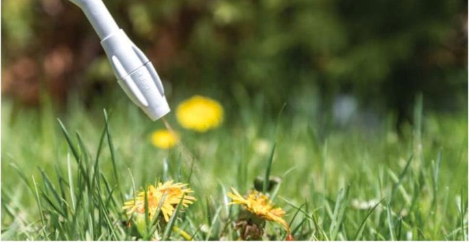 Screen Shot 2018 04 28 at 8.09.37 AM