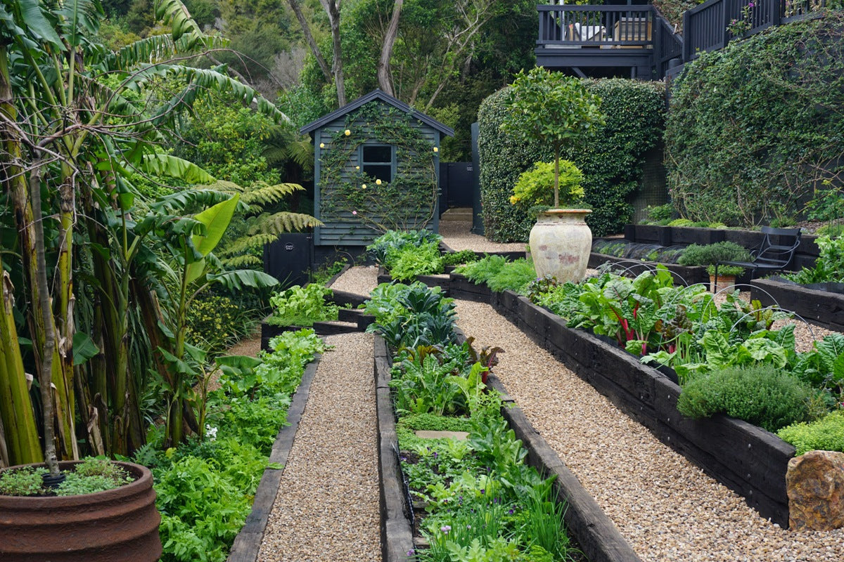 Tickets Now on Sale for 25th Anniversary Waiheke Garden Festival