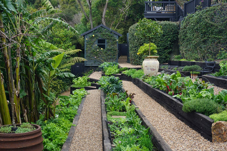 Tickets Now on Sale for 25th Anniversary Waiheke Garden Festival