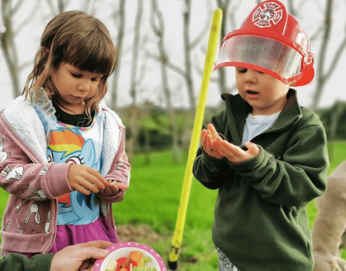 SOMETHING FOR EVERYONE THIS SCHOOL HOLS WITH ECOFEST