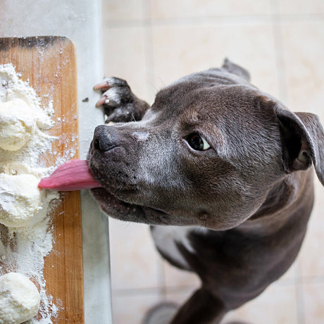 Hidden Dangers Lurking in Your Kitchen