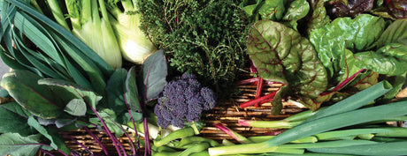 From our Farm to your Table