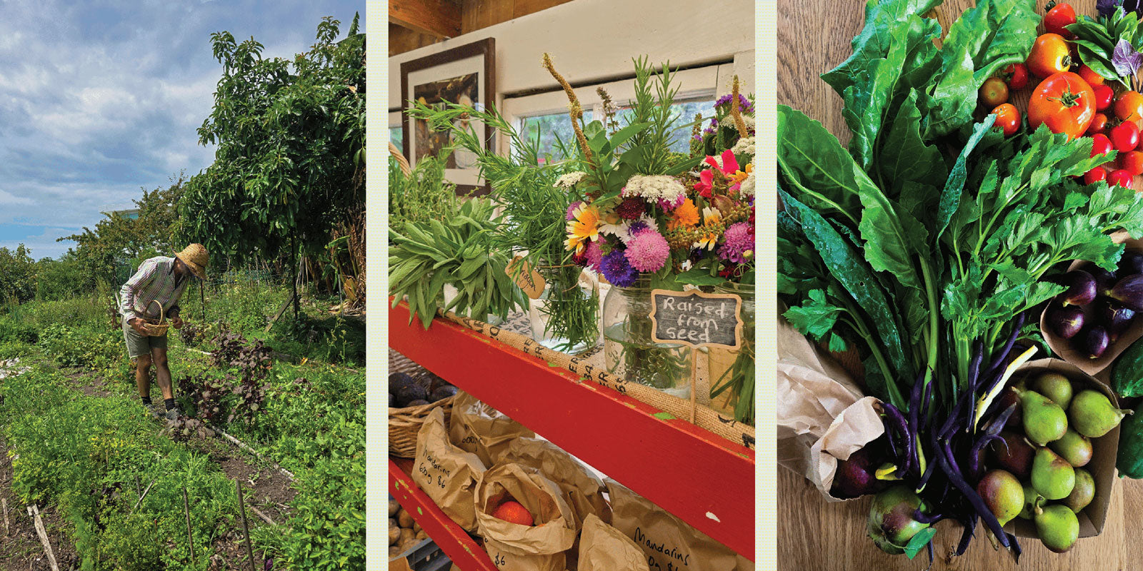 News from Kelmarna Community Farm