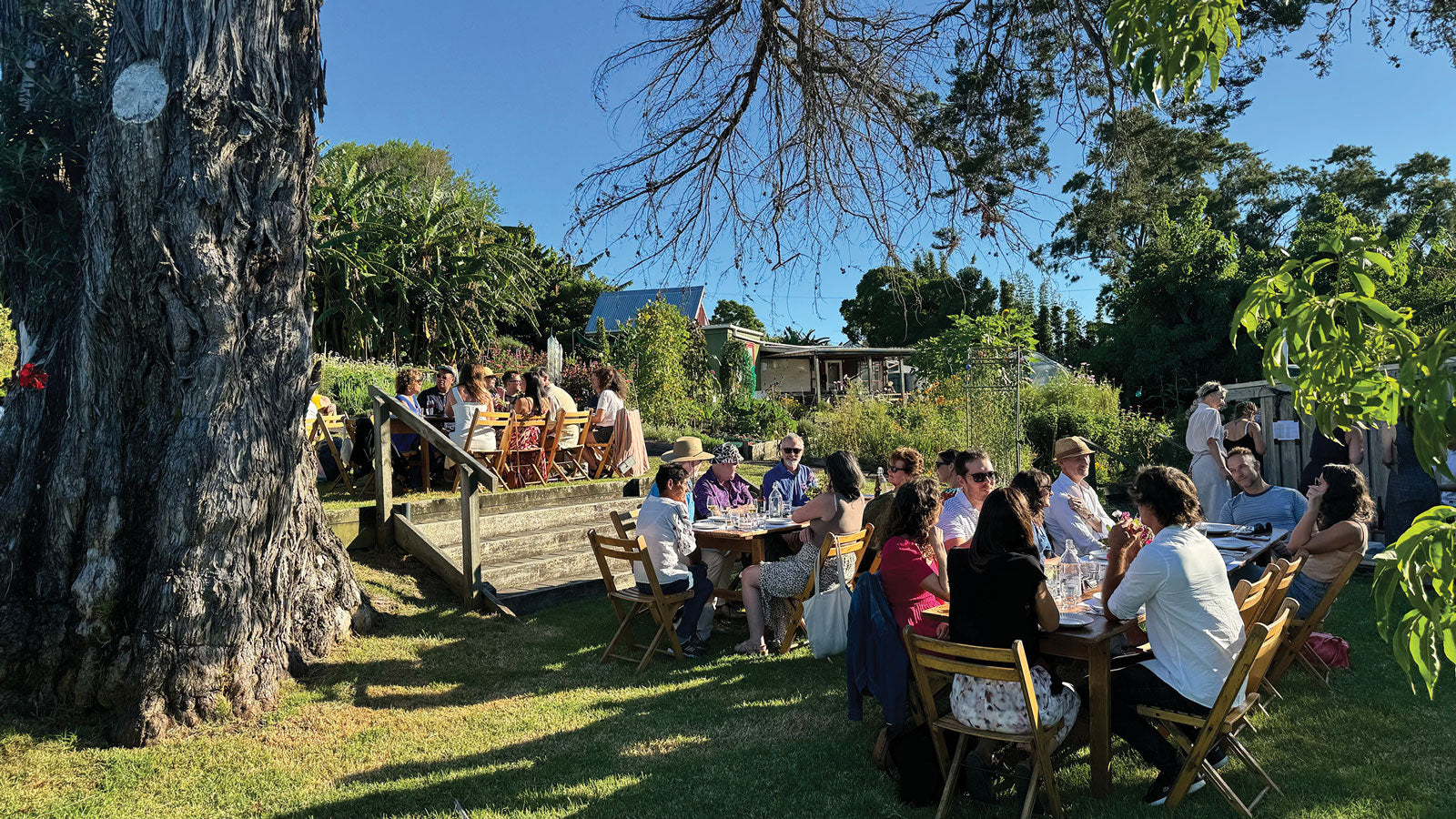 Al fresco dining on delicious fresh produce at Kelmarna Community Farm