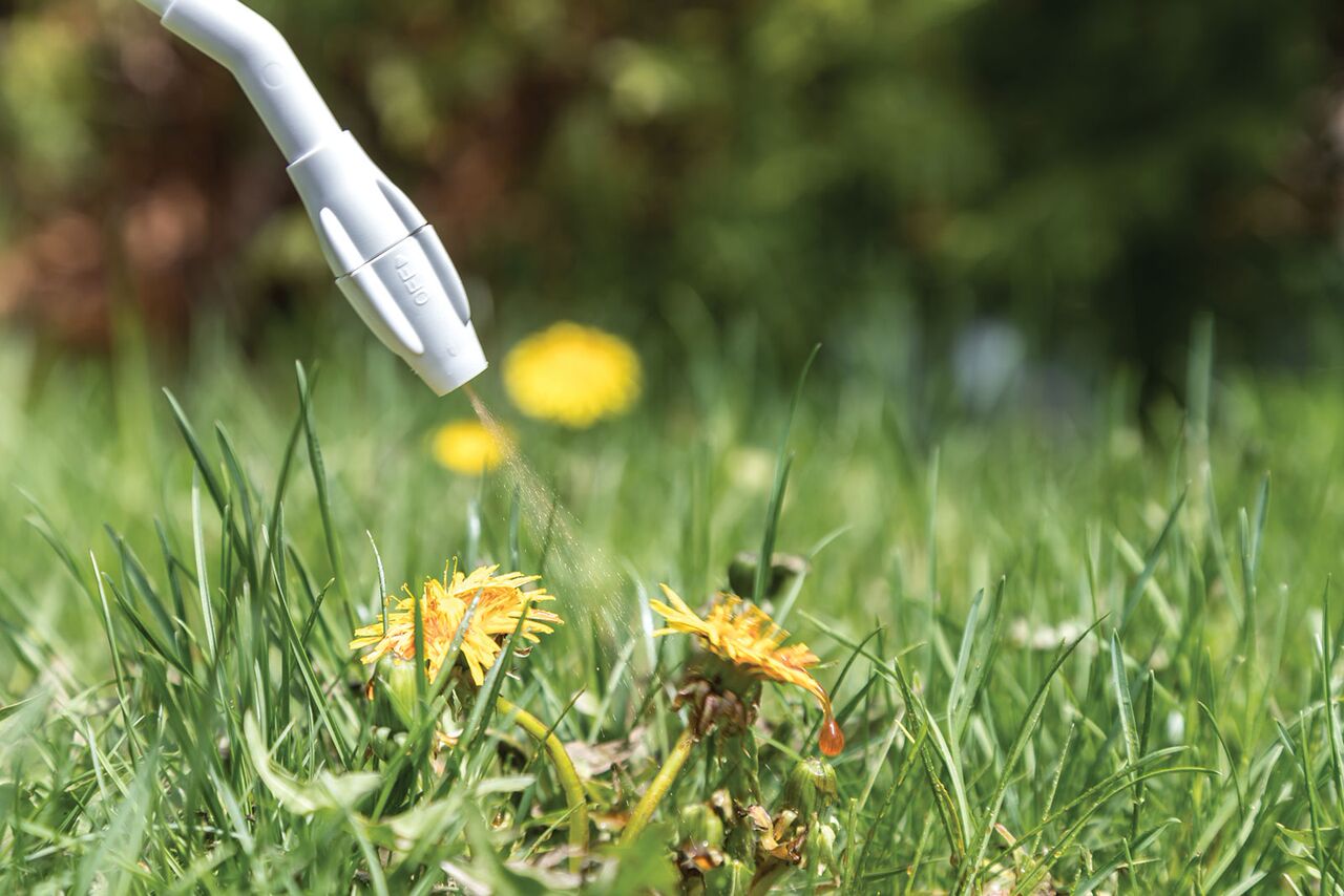 p18 Glyphosate preview