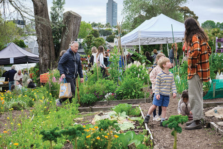 our annual Seedling Sale is back at Kelmarna Community Farm