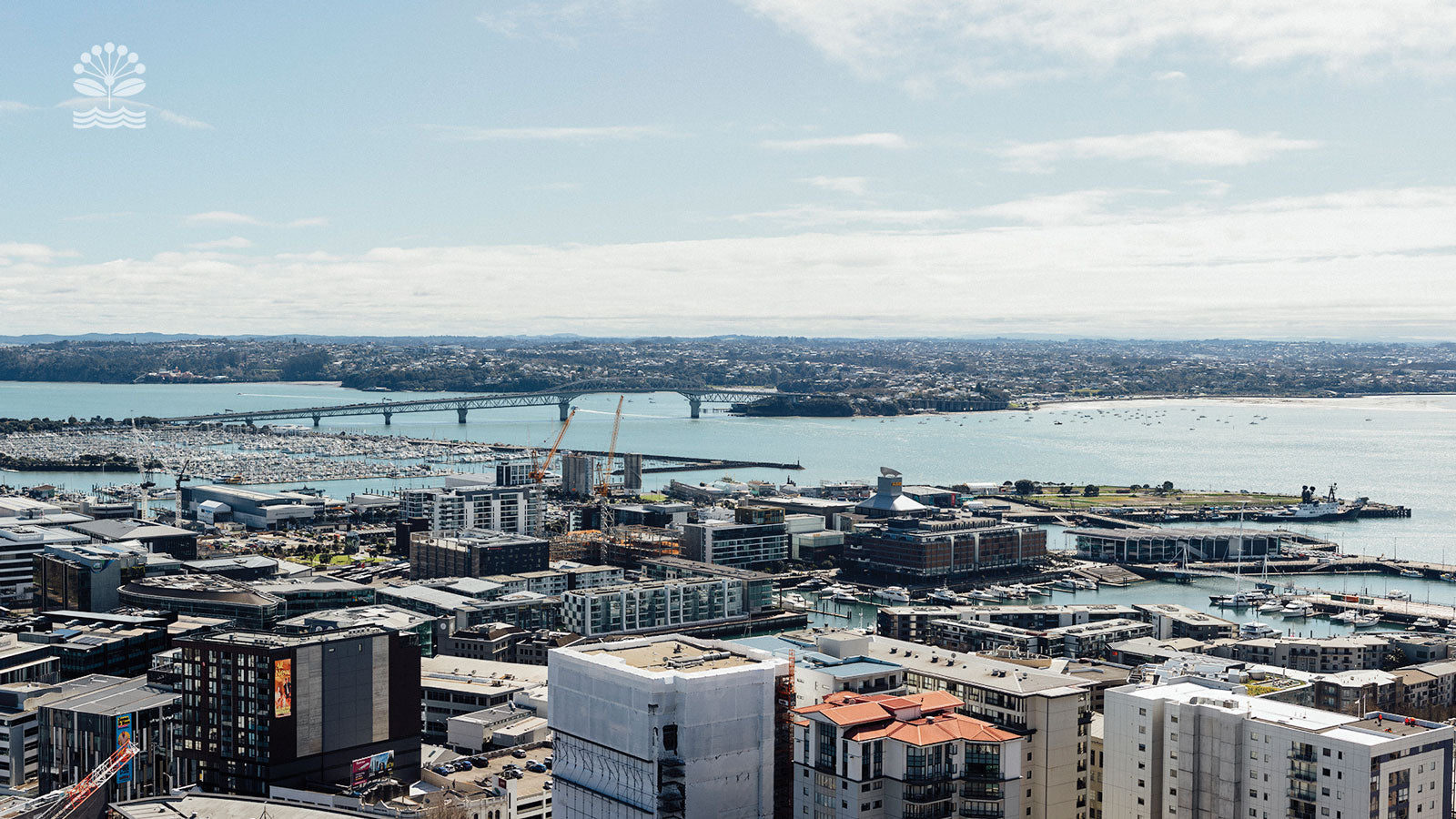 Desley Simpson: Delivering Better Value for Auckland