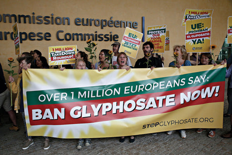 p24 Glyphosate