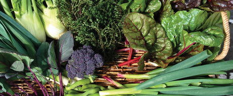 'Edible Conversations' at Kelmarna