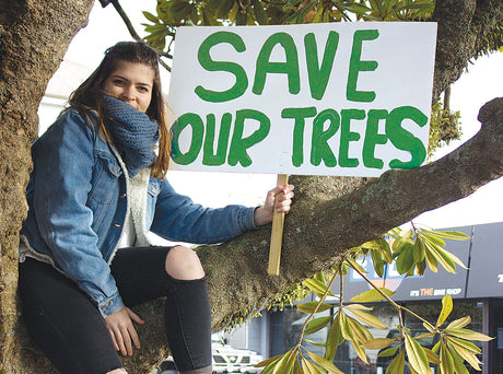 p30 Trees HollyHudson