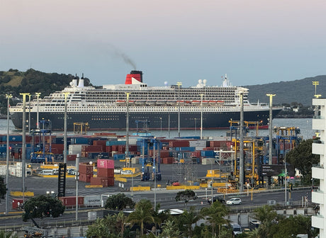 Ross Thorby: ‘A magic that would make Hollywood proud’