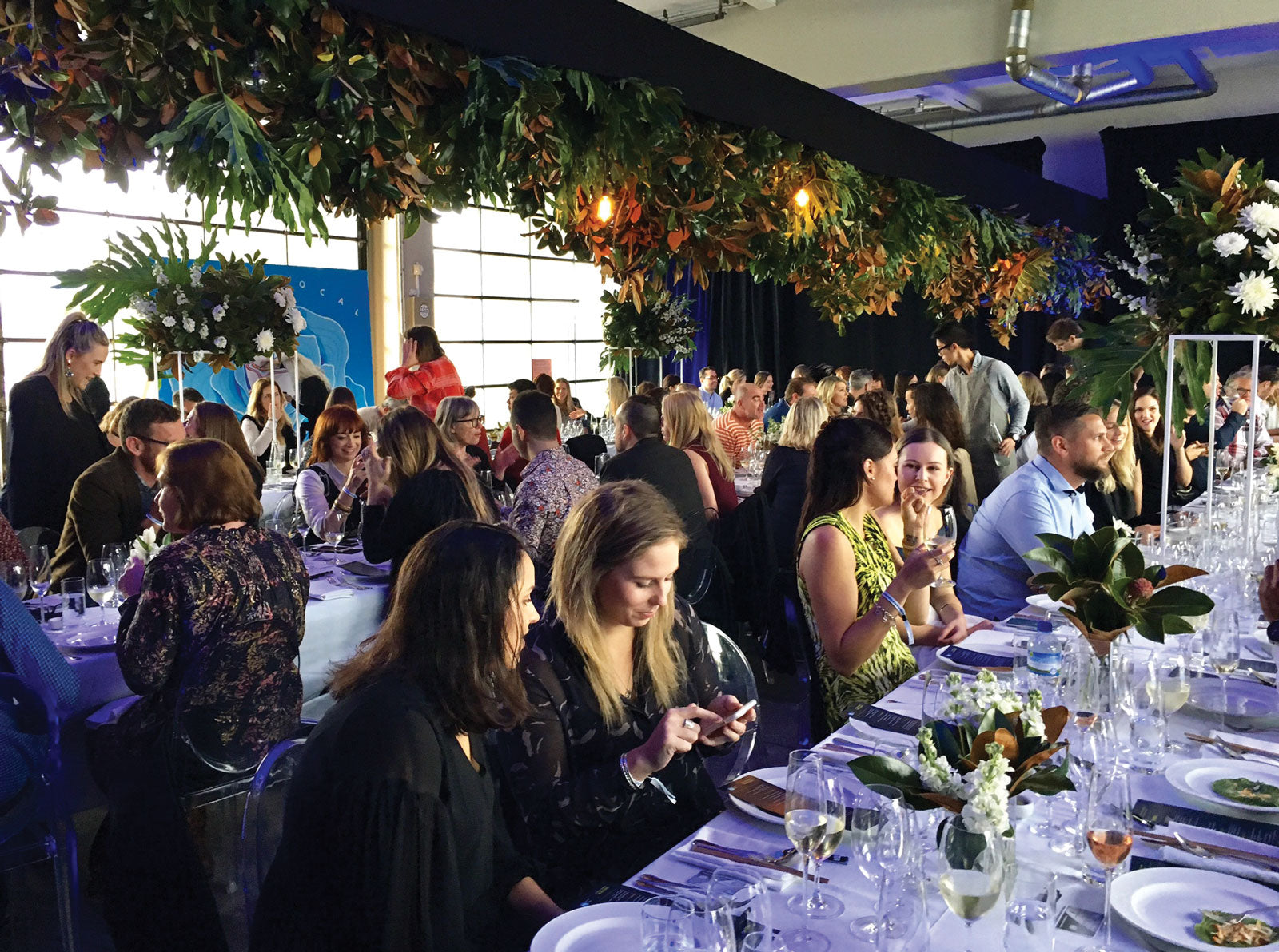 p40 Auckland Live Lunch