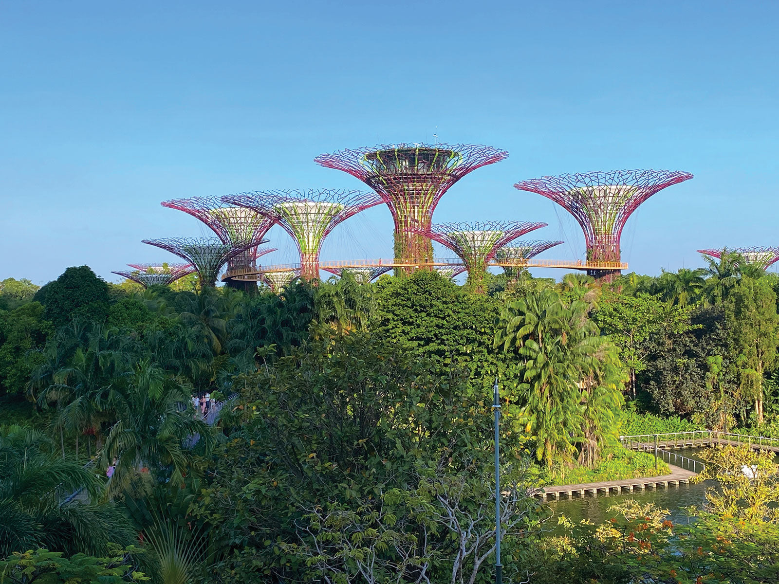 Ross Thorby: Singapore