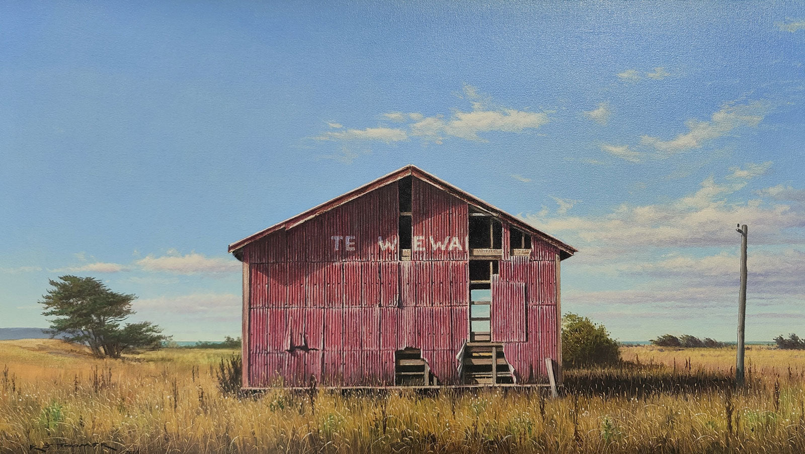 John Toomer sheds light on the quiet architecture of Aotearoa