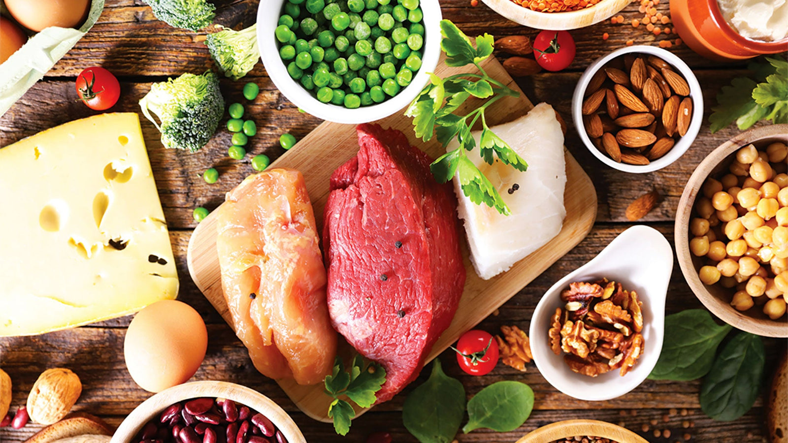 Protein power is essential for immunity, growth and repair