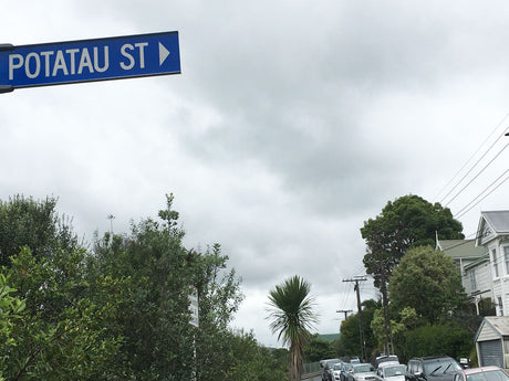 p88 Potatu St