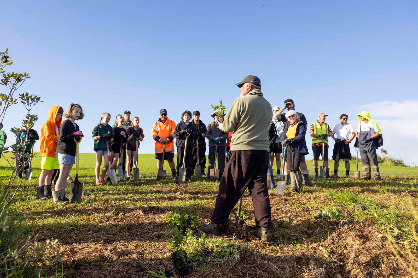 Ngāti Whātua Ōrākei Matariki Planting Day