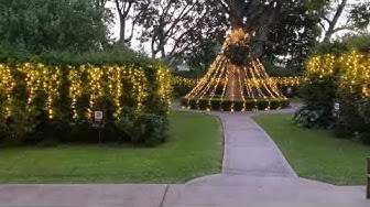 Lights to remember @Mercy Hospice in Ponsonby