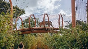 Auckland Zoo swamp...Zoo’s hottest new habitat will transport you to the tropics!